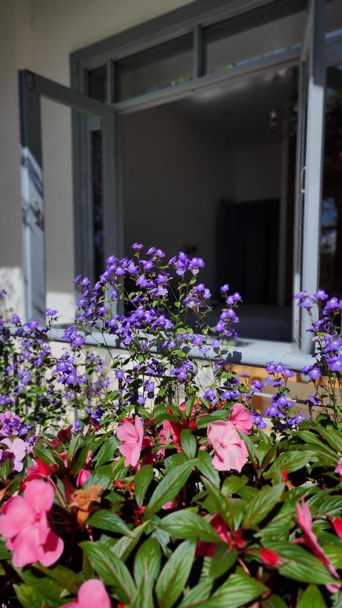 Tia Du Villa Homestay Dalat Exteriér fotografie